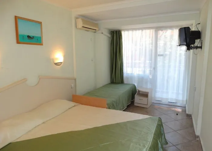 Dana Palace ホテル