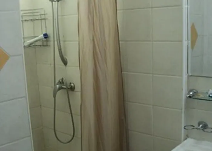 Dana Palace ホテル 3*