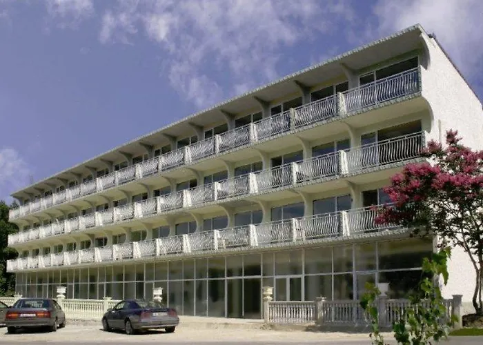 ホテル Dana Palace 3*