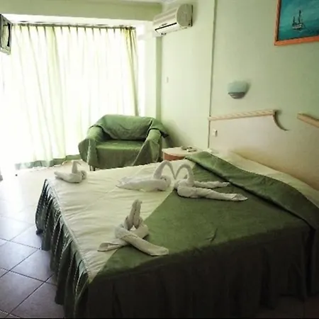 Dana Palace Hotell 3*
